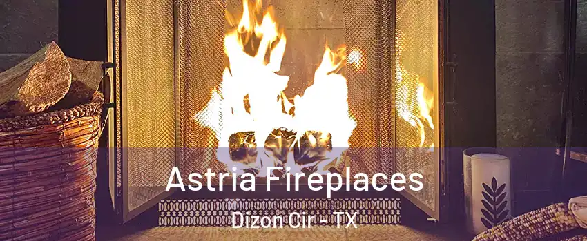 Astria Fireplaces Dizon Cir - TX