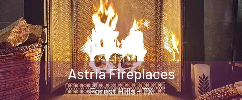 Astria Fireplaces Forest Hills - TX