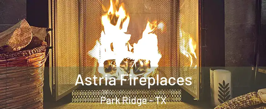 Astria Fireplaces Park Ridge - TX