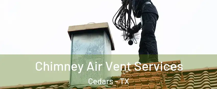 Chimney Air Vent Services Cedars - TX