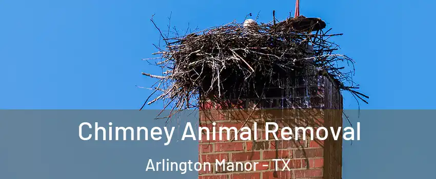 Chimney Animal Removal Arlington Manor - TX