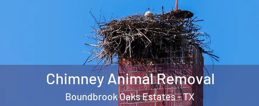 Chimney Animal Removal Boundbrook Oaks Estates - TX