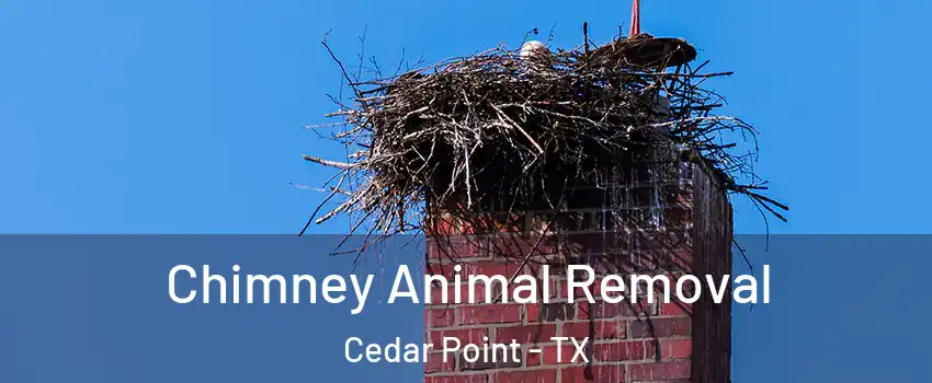 Chimney Animal Removal Cedar Point - TX