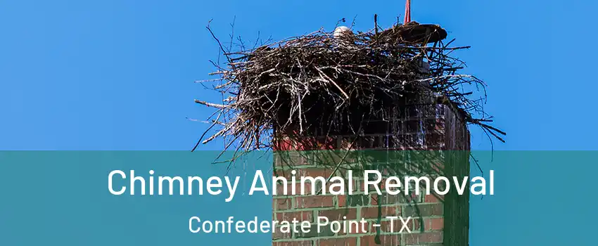 Chimney Animal Removal Confederate Point - TX