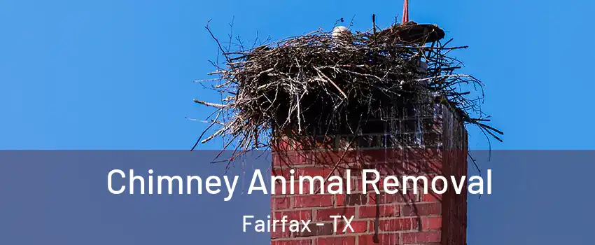 Chimney Animal Removal Fairfax - TX