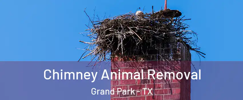 Chimney Animal Removal Grand Park - TX