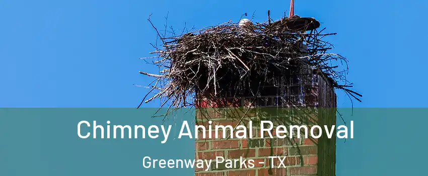 Chimney Animal Removal Greenway Parks - TX