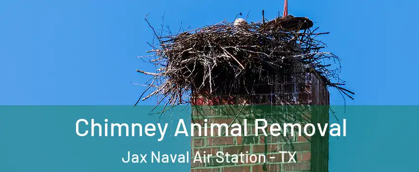 Chimney Animal Removal Jax Naval Air Station - TX