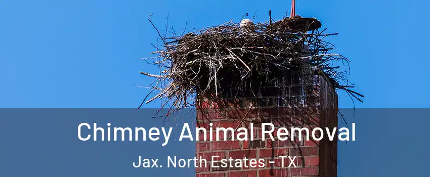 Chimney Animal Removal Jax. North Estates - TX