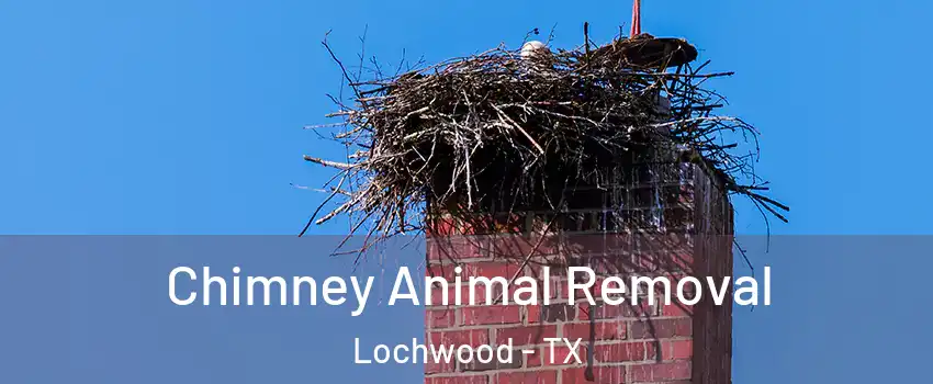 Chimney Animal Removal Lochwood - TX