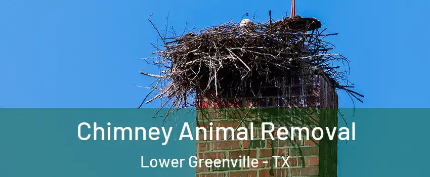 Chimney Animal Removal Lower Greenville - TX