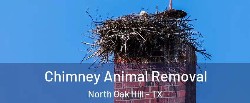 Chimney Animal Removal North Oak Hill - TX