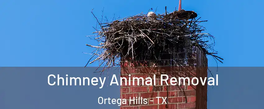 Chimney Animal Removal Ortega Hills - TX