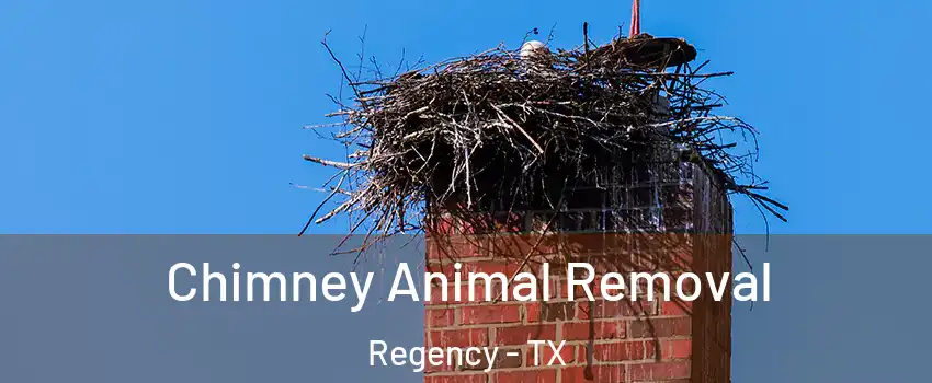 Chimney Animal Removal Regency - TX