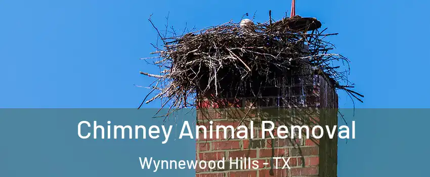 Chimney Animal Removal Wynnewood Hills - TX