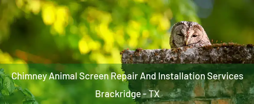 Chimney Animal Screen Repair And Installation Services Brackridge - TX