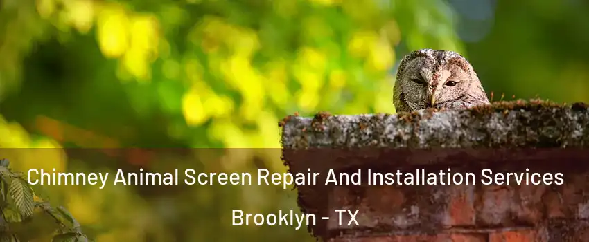 Chimney Animal Screen Repair And Installation Services Brooklyn - TX