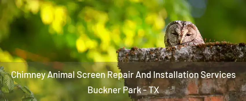 Chimney Animal Screen Repair And Installation Services Buckner Park - TX