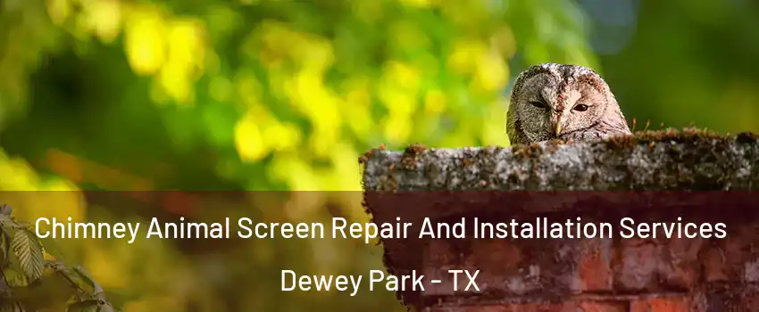 Chimney Animal Screen Repair And Installation Services Dewey Park - TX