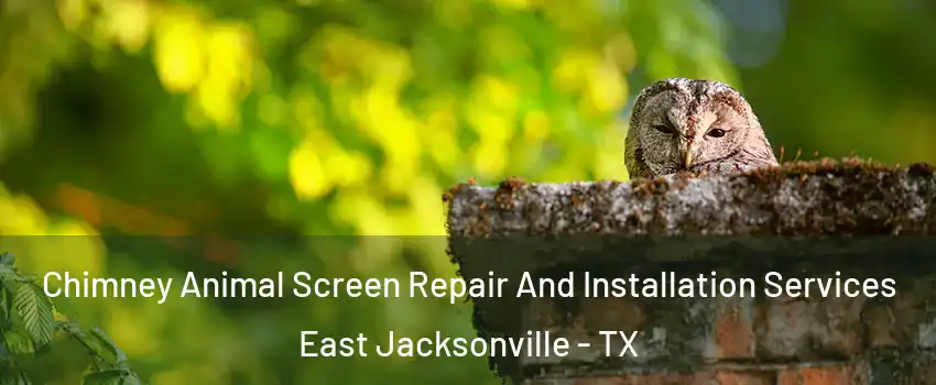 Chimney Animal Screen Repair And Installation Services East Jacksonville - TX