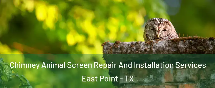 Chimney Animal Screen Repair And Installation Services East Point - TX