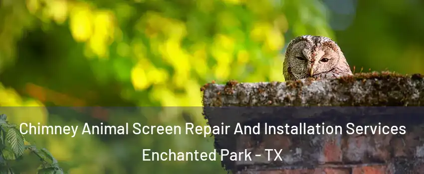 Chimney Animal Screen Repair And Installation Services Enchanted Park - TX