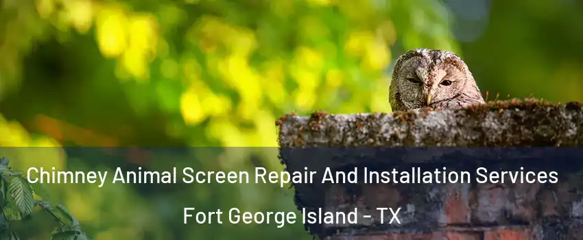 Chimney Animal Screen Repair And Installation Services Fort George Island - TX