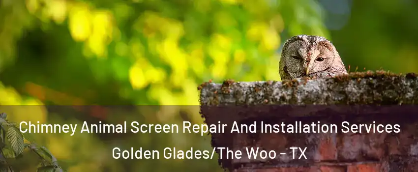 Chimney Animal Screen Repair And Installation Services Golden Glades/The Woo - TX