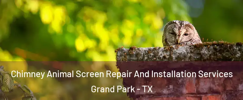 Chimney Animal Screen Repair And Installation Services Grand Park - TX