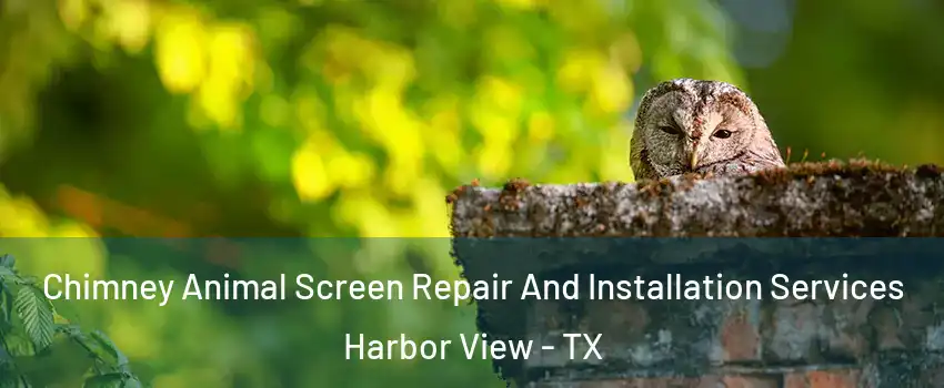 Chimney Animal Screen Repair And Installation Services Harbor View - TX