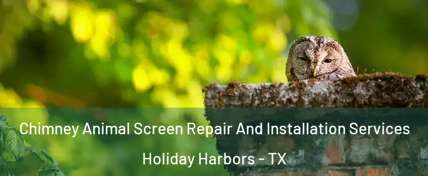 Chimney Animal Screen Repair And Installation Services Holiday Harbors - TX