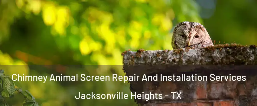 Chimney Animal Screen Repair And Installation Services Jacksonville Heights - TX