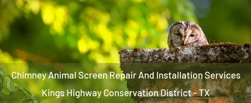 Chimney Animal Screen Repair And Installation Services Kings Highway Conservation District - TX