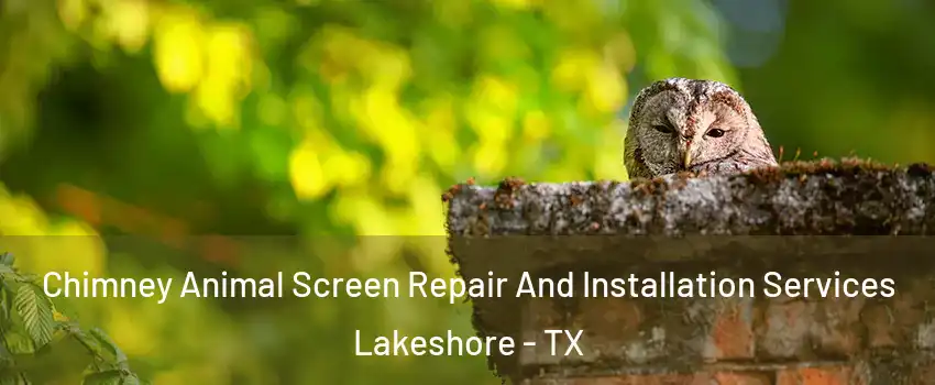 Chimney Animal Screen Repair And Installation Services Lakeshore - TX