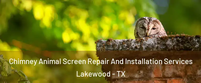 Chimney Animal Screen Repair And Installation Services Lakewood - TX