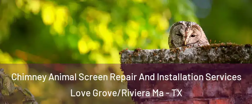 Chimney Animal Screen Repair And Installation Services Love Grove/Riviera Ma - TX