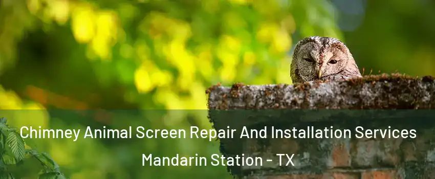 Chimney Animal Screen Repair And Installation Services Mandarin Station - TX