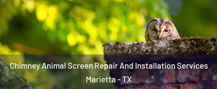 Chimney Animal Screen Repair And Installation Services Marietta - TX