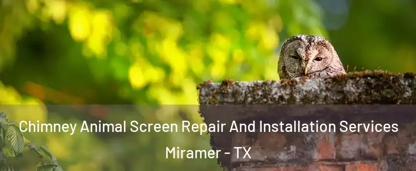 Chimney Animal Screen Repair And Installation Services Miramer - TX