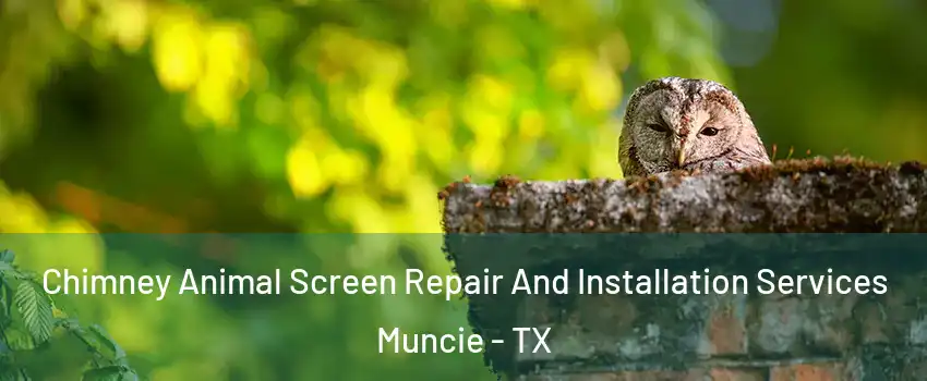 Chimney Animal Screen Repair And Installation Services Muncie - TX