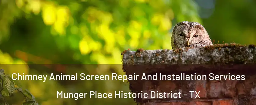 Chimney Animal Screen Repair And Installation Services Munger Place Historic District - TX