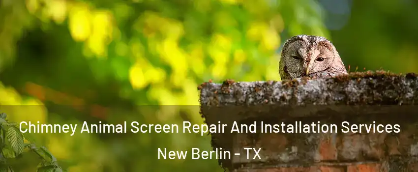 Chimney Animal Screen Repair And Installation Services New Berlin - TX