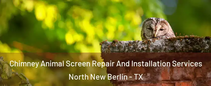 Chimney Animal Screen Repair And Installation Services North New Berlin - TX