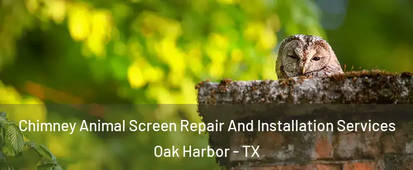 Chimney Animal Screen Repair And Installation Services Oak Harbor - TX