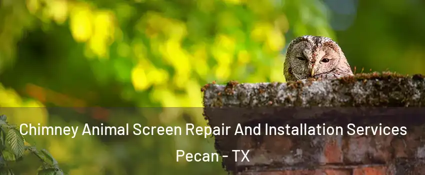 Chimney Animal Screen Repair And Installation Services Pecan - TX