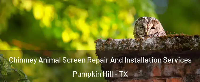 Chimney Animal Screen Repair And Installation Services Pumpkin Hill - TX