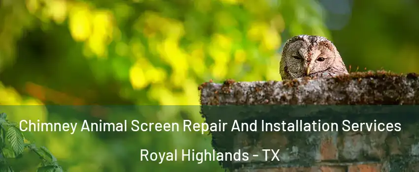 Chimney Animal Screen Repair And Installation Services Royal Highlands - TX