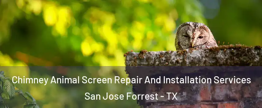 Chimney Animal Screen Repair And Installation Services San Jose Forrest - TX