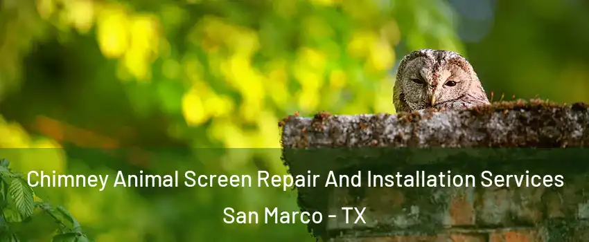 Chimney Animal Screen Repair And Installation Services San Marco - TX