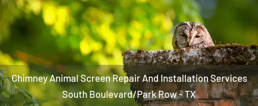 Chimney Animal Screen Repair And Installation Services South Boulevard/Park Row - TX